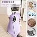 Hpetppy Cat Recovery Suit for Spay Abdominal Wound, Breathable Kitten Onesie for Cats After Surgery, Anti Licking Cat Cone Alternative, Pet Surgery Recovery Shirt-Purple(L)