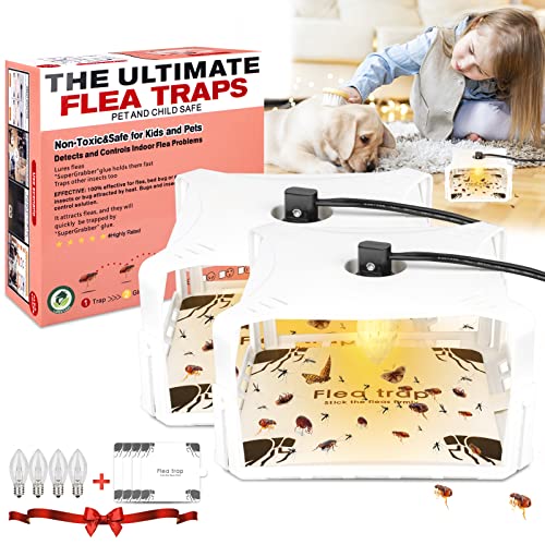 Top 10 Best House Treatment For Fleas Reviews & Buying Guide Katynel