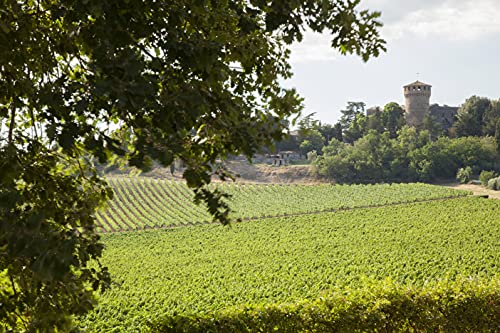 Castello Della Sala Conte Della Vipera Umbria Igt, 750Ml - 3
