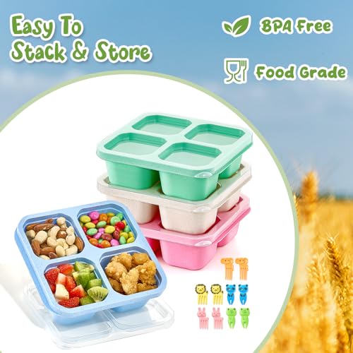 Gencywe AAXBNM Bento Snack Boxes 4 Pack, Reusable Bento Boxes Kids Adults With 4 Compartments & Fork, Lunch Snack Containers thumb #3