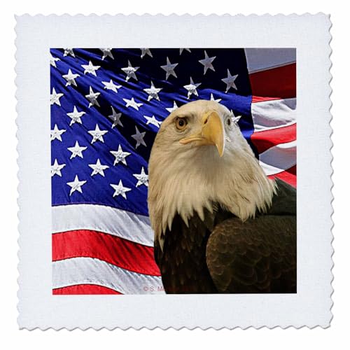 3dRose Bald Eagle and American Flag - Quilt Square, 6 by 6