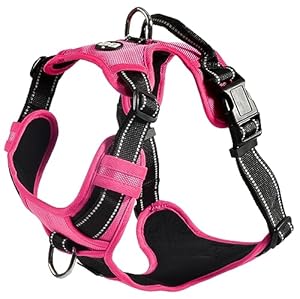 Bobby Rando Walk Fuchsia Hundegeschirr Verstellbar