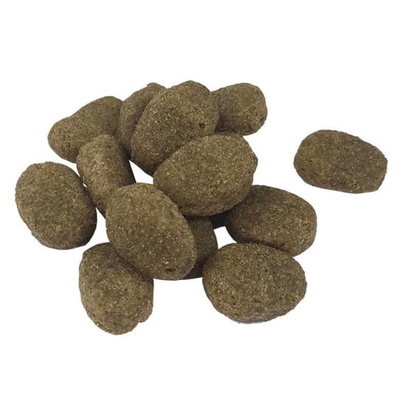 Eleganz Trockenfutter für Hunde Adult Sensitive mit Lamm & Reis - 2 x 15 kg Sack für empfindliche Hunde - hypoallergenes Hundefutter für eine gesunde Ernährung
