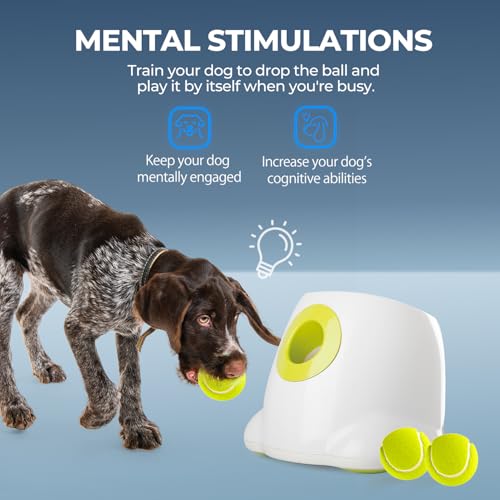 ALL FOR PAWS Automatischer Ballwerfer, mit 3pcs Tennisbälle (2.5'') Hunde Ball Interaktive Ballwurfmaschine 6 2.5' Tennisbällen Inklusive
