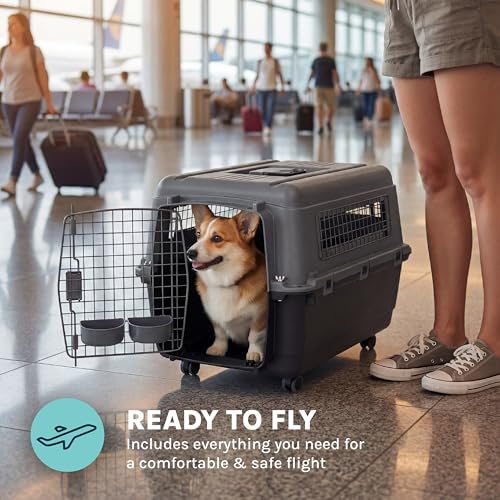 Image of SportPet Airline Compliant MEDIUM 26.5 inch Travel Dog Kennel-Durable Plastic Airline Pet Carrier w / Removable Wheels & Food Bowls, Collapsible Indoor /Outdoor Dog Kennel, Dogs up to 23 inchL & 15 inchH-Dark Gray