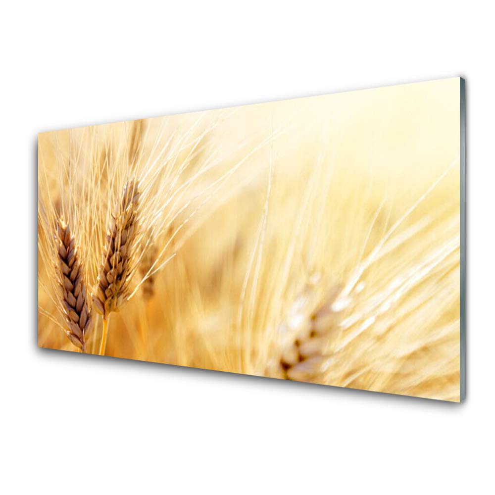 Tableau en verre acrylique 100x50 cm Tulup motif floral blé décoration murale moderne