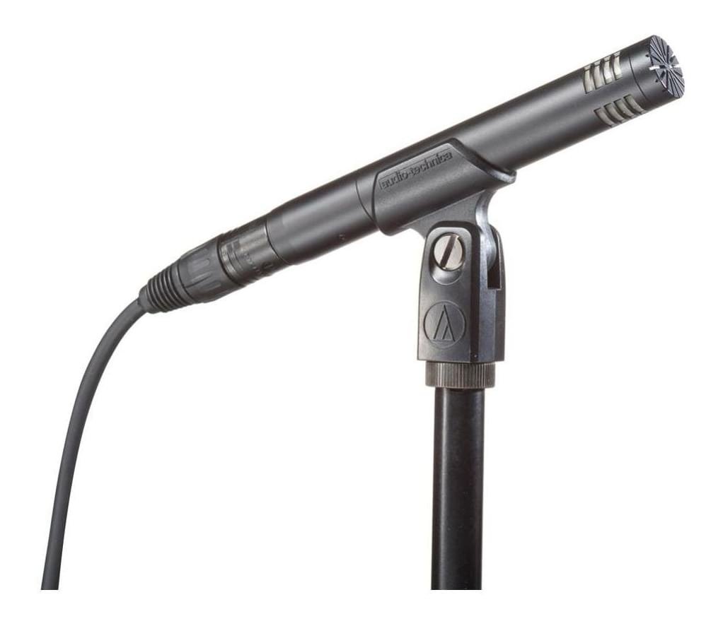 AT2031 Cardioid Condenser Microphone