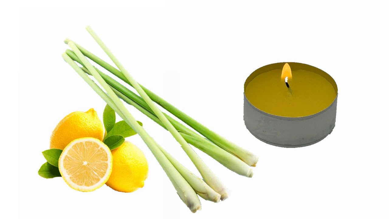 EbenEzer Velas de Té Citronela, Candle Perfumada con Citronela Antimosquitos, Extractos Naturales, para camping/hogar/picnic/terraza - Pack 60, 4,5 horas de combustión