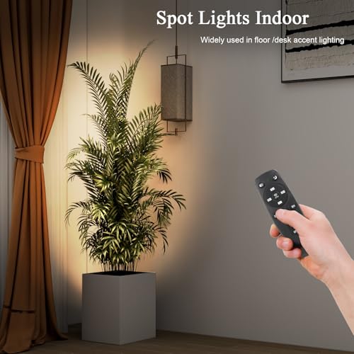Image of 2Pack Spot Lights Indoor 8 to 60 Zoomable Focus Head Uplighting Indoor with Timer and Remote Stepless Adjustable Color Temperature and Dimmable Accent Up Lights for Plant Artwork Pictures