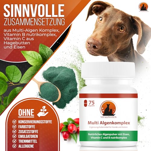 Vitalpfoten 75 Multi Algenkomplex Kapseln für Hunde und Katzen mit Chlorella, Spirulina, Grünlippmuschel, Eisen, Vitamin C & Vitamin B nutrikomplex - Energie & Nerven - Vitamin-B und Eisentabletten