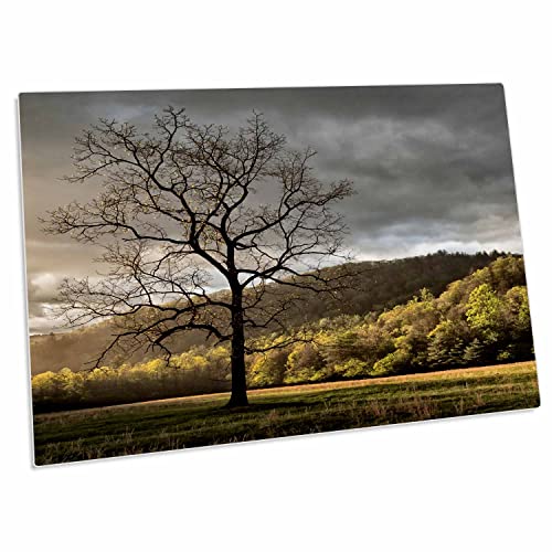 3dRose North Carolina, Great Smoky Mountains NP, Desk Pad