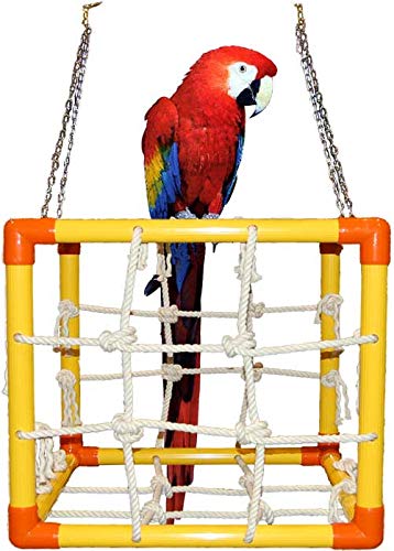 ZOO-MAX Large Parrots Toy, Cube Lg