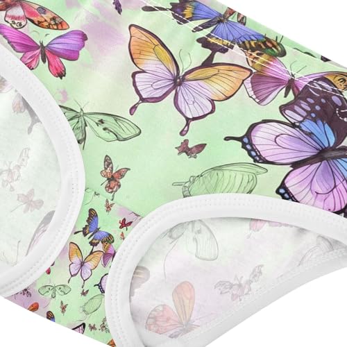 Colorful Butterfly Toddler Girls's Underwear 2T 202c11504