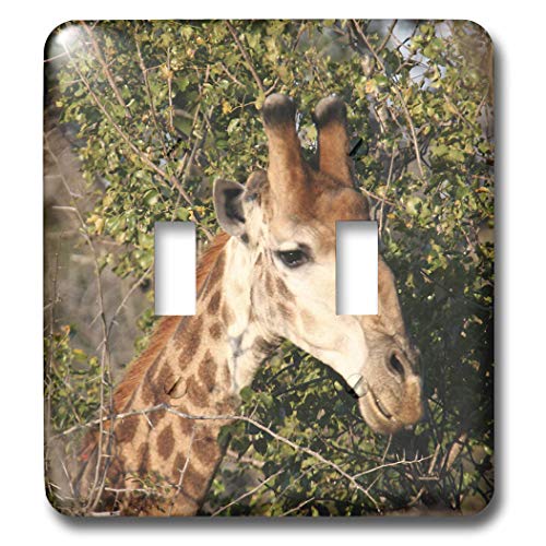 Double interrupteur à bascule avec impression haute définition tête de girafe 3dRose - 2