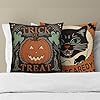 Kawani Halloween Pillow Covers... #1