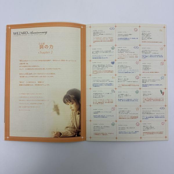 Amazon.co.jp: ZARD 会報 創刊号 Vol.43 坂井泉水 : おもちゃ