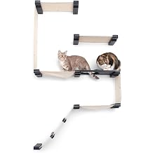 CatastrophiCreations Cat Fort Set - Multiple-Level Cat Hammock & Climbing Activity Center Wall-Mounted Cat Tree Shelves