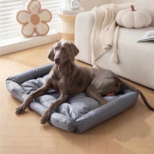 Wasserdicht waschbares Katzen und Hundebett mit Stabiler Seitenwand für kleine mittlere Tiere bis 25kg rutschfest Grau(L, 90x60x11 cm)