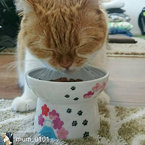 necoichi raised cat food bowl