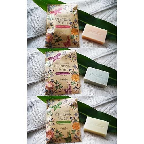 ppC { ƃN` { nCrXJX̃tFCV\[vΌ