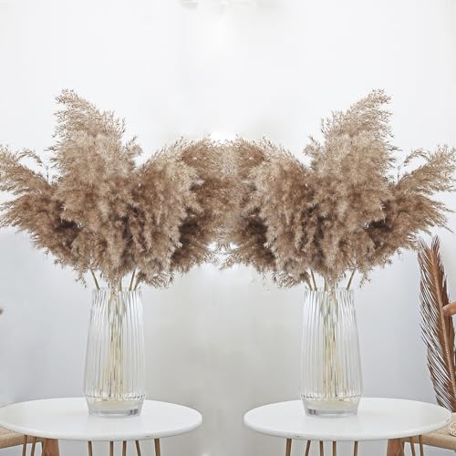 Image of 30 Stems 28 inch inch Fluffy Brown Pampas Grass Decor Tall - Natural Dried Pampas Grass, Large Pompas Grass, Dry Pampas Bulk for Living Room Decor, Boho Home Decor , Wedding Decor , Gift( 30 Brown )
