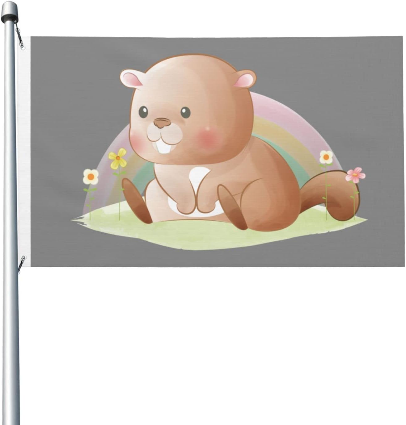 5x beaver quality Clearance