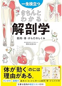 解剖学、生理学など教科書12冊 まとめ売り 定価63400円 解剖学、生理学など教科書12冊 まとめ売り 定価63400円 解剖学、生理学など