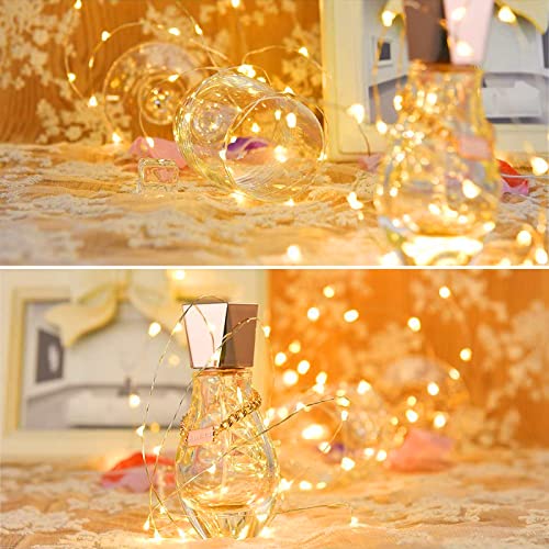 Battery Operated LED Fairy Lights for Parties and Decorations