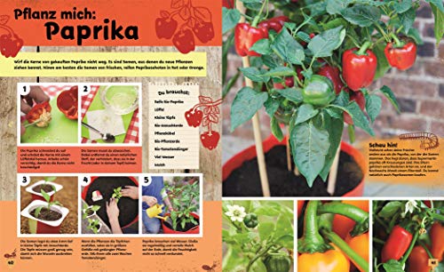 Auf ins Beet!: 30 wilde Gartenideen für Radieschenräuber und Bienenretter. Ein Bio-Gartenbuch für Kinder mit einem Vorwort von Ackerhelden machen Schule - 5
