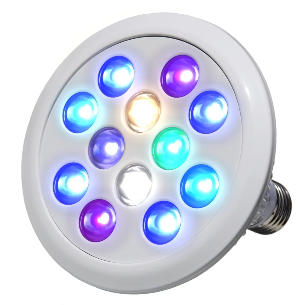 Lighting Master 24DCII【UVネオン】　【UVコーラル】 Amazon.co.jp: B.R.S Lighting Master 24DCⅡ【UVコーラル】30,000K