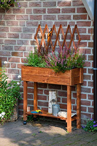 dobar® 58187e rollbares Hochbeet mit Rankgitter | Pflanzkasten auf Rollen | Blumenbeet aus Massiv-Holz | Schmales Kräuterbeet für Garten/Terrasse/Balkon | 79 x 28,5 x 130 cm | Braun