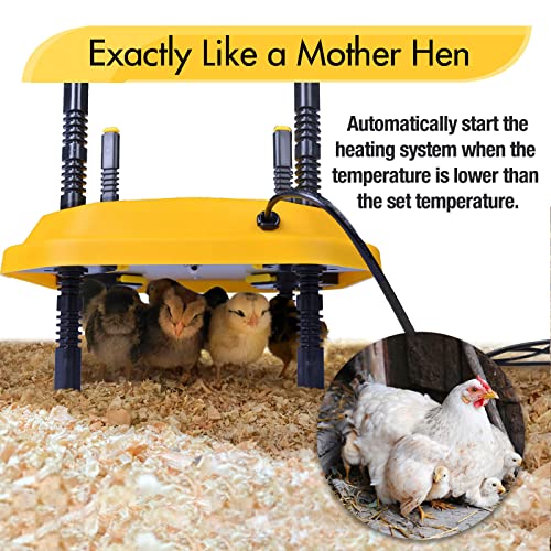 Plotohiker Wärmeplatte Küken,Temperatur Verstellbare Kükenwärmer Wärmelampe,Heizplatte für Kükenaufzucht,Kunstglucke 13… – Bild 4