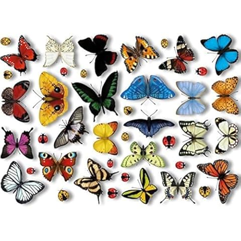 25 Realistic Butterflies & 17 Ladybird Window Clings by Articlings Cover