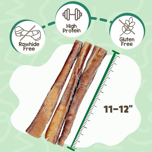 Image of Nature Gnaws Extra Large Bully Sticks for Dogs 11-12 inch (3 Count) - Thick Long Lasting for Aggressive Chewers and Heavy Chewers - Natural Beef Dog Chew Bones
