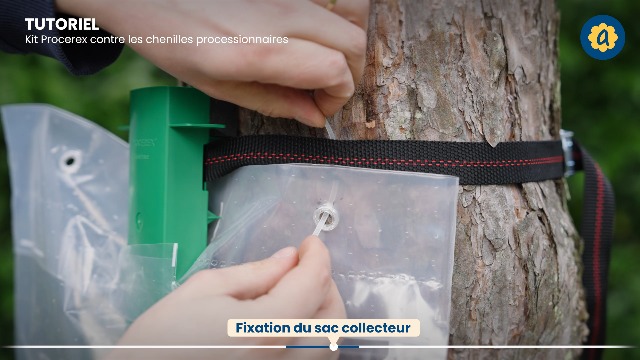 Recharge Sac + Mastic Pour écopiège® Chenille Processionnaire Sac