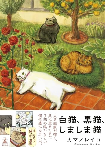 本の表紙