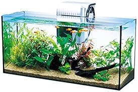 60cm 水槽 熱帯魚 フルセット 初心者におすすめの60㎝水槽セットを紹介！熱帯魚やメダカなどの飼育に