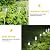 SUNNEST Solar Lights Outdoor Christmas - 16 Pack Solar Pathway Lights Waterproof Steel Metal Auto On/Off Solar Garden Lights Bright Up to 10 Hrs for Pathway Walkway Patio Yard Garden Lawn Driveway