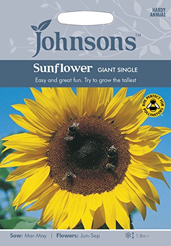 英国ミスターフォザーギルズシード&ジョンソンシードSunflower Giant Single サンフラワー ジャイアント シングル