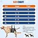 SlowTon Dog Lift Harness - Adjustable Dog Sling for Medium Large Dogs, Hind Leg Support to Help Rehabilitate, Soft Padded Dog Support Harness for Elderly, Injured, Arthritic, Disabled Dogs, L