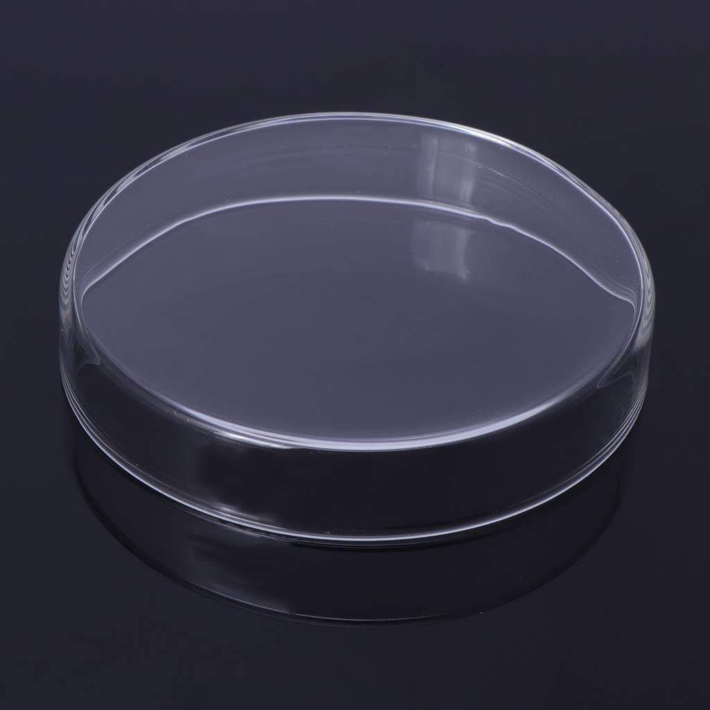Shrimp Feeder Dish Glass Feeding Tray Aquarium Fish for Reptiles Round Food Bowl 3.9in 3.5in 3.2in 3.0in 2.6in 2.4i