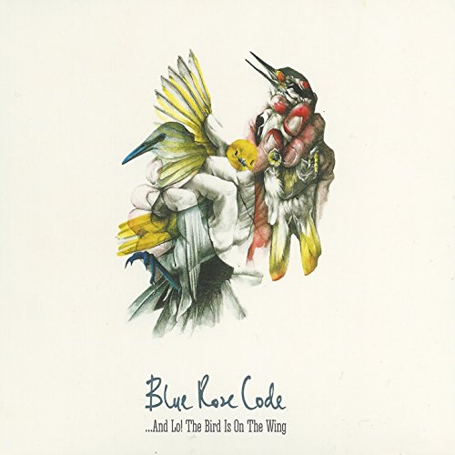 ...And Lo! The Bird Is On The Wing by Blue Rose Code on Amazon Music