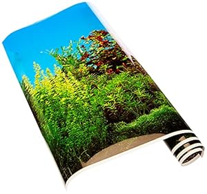 Europet Bernina 241 Photo-Rückwand Beauty und Sea