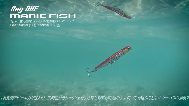 Amazon.co.jp: DUO(デュオ) ペンシルベイト ベイルーフ マニック