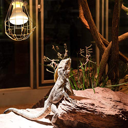 Uonlytech 6Pcs Metal Lamp Bulb Guard Clamp Light Bulb Cage Guard Metal Bulb Guard Lamp Cage Vintage Light Cage Hanging Industrial Lamp Covers Pendant Decor For Home Bar #TOP4