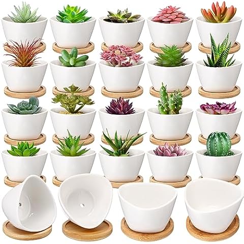 Domensi 24 Pack Small White Succulent Planter Pots 3 Inch Mini Ceramic Succulent Planter Pots Mini Cactus Pots with Drainage Holes and Bamboo Trays Cover