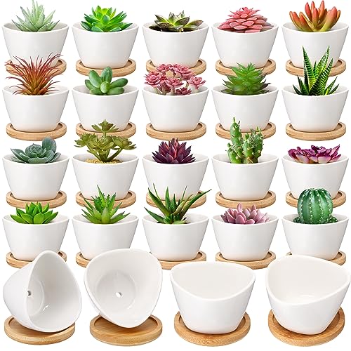 Domensi 24 Pack Succulent Planter Pots 3 Inch Small Plant Pots Mini Ceramic Succulent Planter Holder with Drainage Holes and Bamboo Saucers (White)