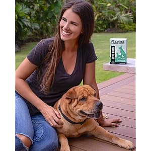 Lengthen Joint Look after Canine – 2 month Provide – Hip and Joint Complement Powder – Glucosamine for Canine – Joint Ache Reduction – MSM – Mobility & Flexibility Assist – Superior Joint Well being – Made in USA