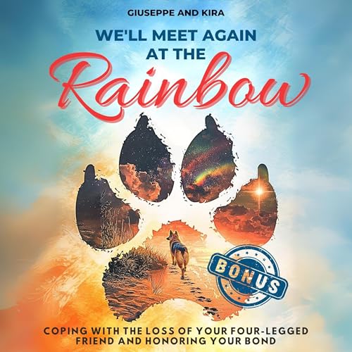 『We&rsquo;ll Meet Again at the Rainbow』のカバーアート