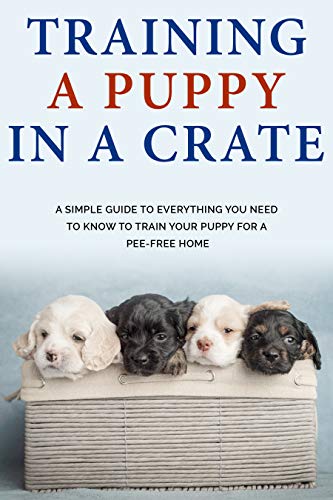 dog crate training guide